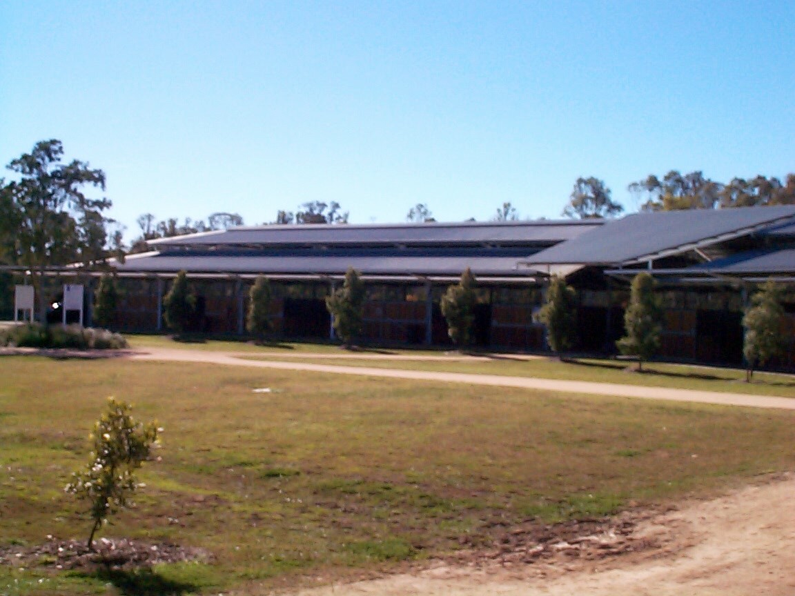 STABLES